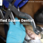 Jason Equine Dentistry Brochure Website Developed by DMC
